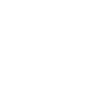 performance-flashlight-icon10